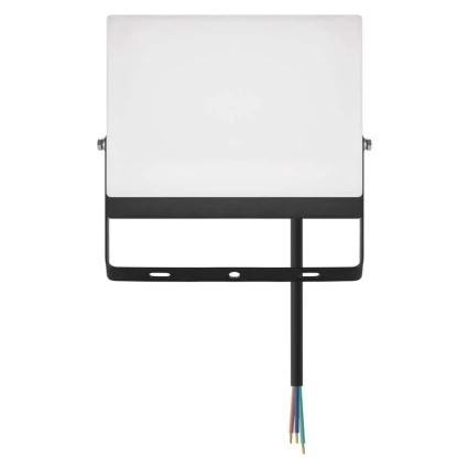 LED-schijnwerper TAMBO EVO LED/50W/230V 4000K IP65 zwart
