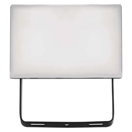 LED Schijnwerper TAMBO LED/10W/230V 4000K IP65