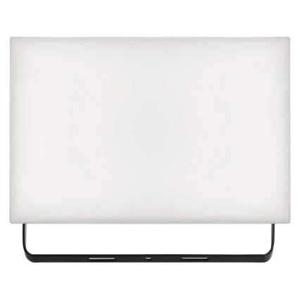 LED Schijnwerper TAMBO LED/50W/230V 4000K IP65