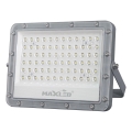 LED Schijnwerper voor buiten LED/100W/230V 5000K IP65 grijs