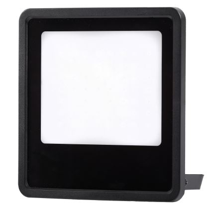 LED Schijnwerper voor buiten LED/20W/230V 4000K IP65 zwart