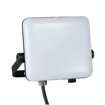 LED Schijnwerper voor buiten MILKY LED/30W/230V 4000K IP65 zwart