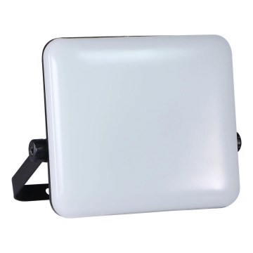 LED Schijnwerper voor buiten MILKY LED/50W/230V 4000K IP65 zwart