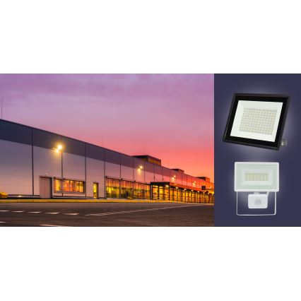 LED Schijnwerper voor buiten NOCTIS LUX 3 LED/100W/230V 4000K IP65 wit