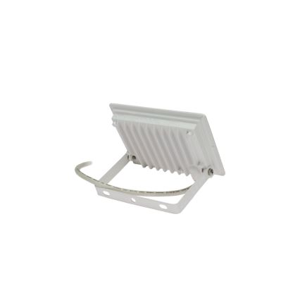 LED Schijnwerper voor buiten NOCTIS LUX 3 LED/30W/230V 3000K IP65 wit