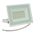 LED Schijnwerper voor buiten NOCTIS LUX 3 LED/30W/230V 4000K IP65 wit