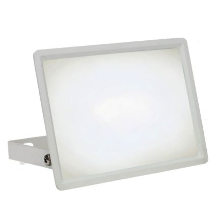 LED Schijnwerper voor buiten NOCTIS LUX 3 LED/30W/230V 4000K IP65 wit