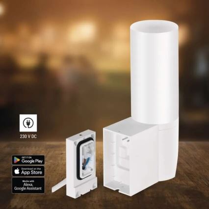 LED Slimme buitencamera met een licht GoSmart LED/12W/230V IP65 Wi-Fi Tuya wit