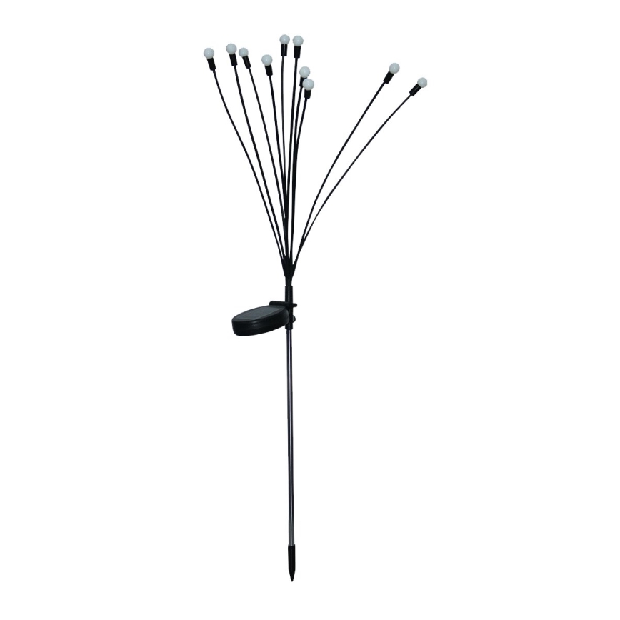 LED Solar decoratieve lamp 10xLED/1,2V 3000K 73 cm 600 mAh IP44