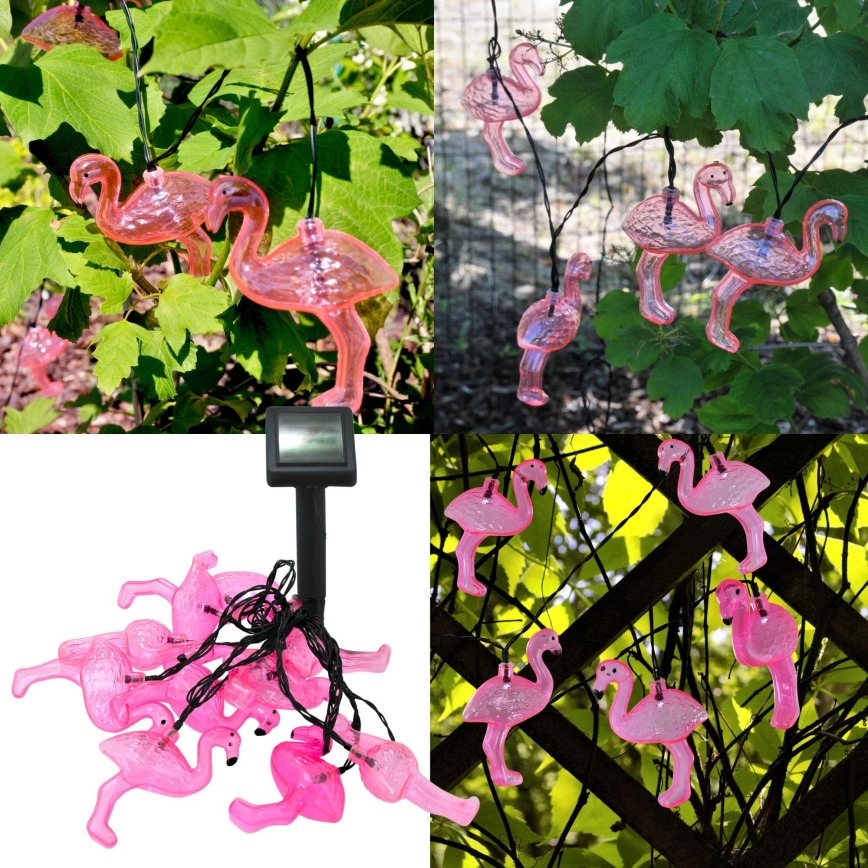 LED Solar Decoratieve lichtsnoer 10xLED/1,2V 300 mAh 3,8 m IP44 flamingo