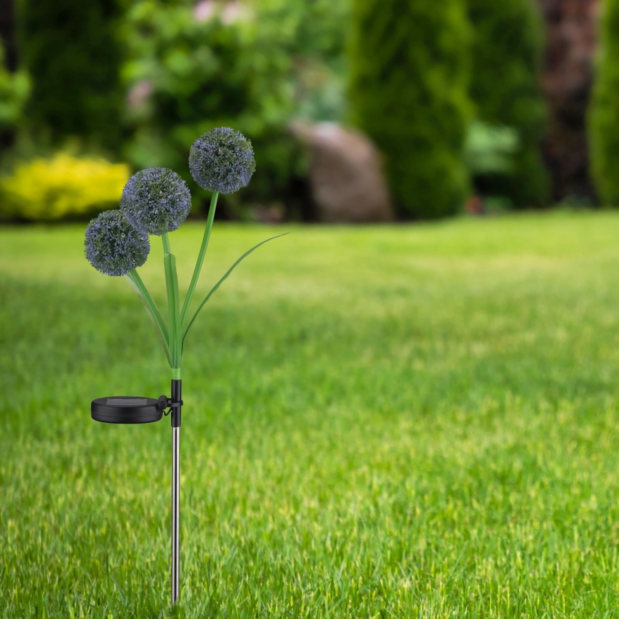 LED Solar lamp ALLIUM LED/1,2V 6500K 600 mAh IP44 zwart
