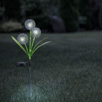 LED Solar lamp ALLIUM LED/1,2V 6500K 600 mAh IP44 zwart