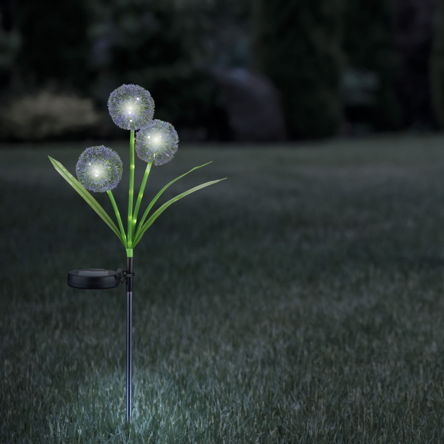 LED Solar lamp ALLIUM LED/1,2V 6500K 600 mAh IP44 zwart