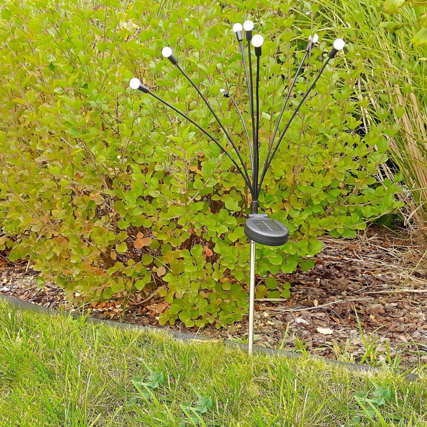 LED Solar lamp FIORINI 8xLED/1,2V 600mAh IP44 zwart