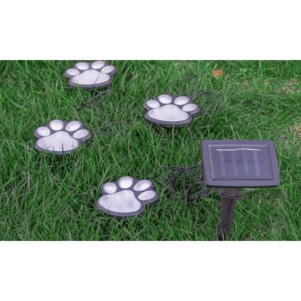 LED Solar lamp LED/0,14W/2V IP44 paws