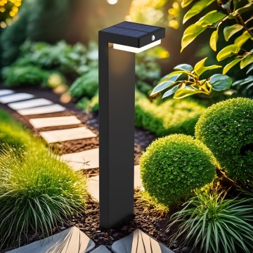 LED Solar lamp met bewegings- en schemersensor PALERMO LED/5W/2000 mAh IP54 zwart