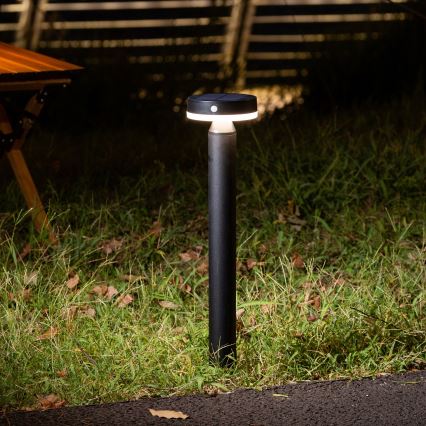 LED Solar lamp met sensor GWINEA LED/4,5W/3,7V 2000 mAh 50 cm IP44 zwart