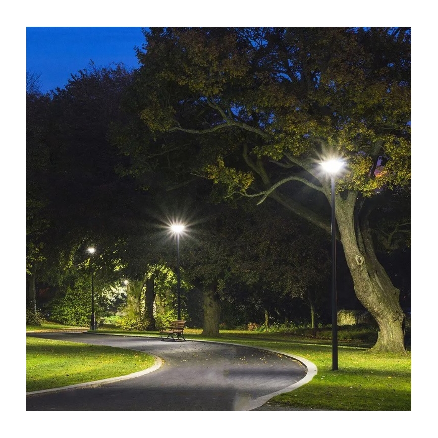 LED Solar Straat Lamp met Sensor LED/10W/3,2V 6500K IP65 + afstandsbediening