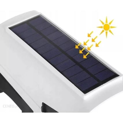 LED Solar maketa bezpečnostní kamery met sensor KAMERA LED/1W/3,7V IP44 + afstandsbediening