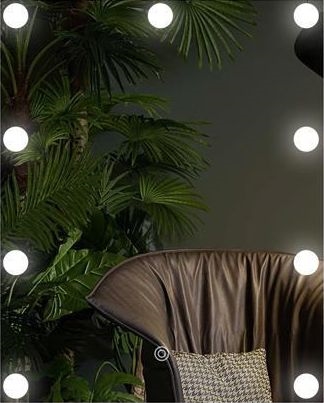 LED Spiegel met verlichting 9xLED/1W/230V 3000/4000/6000K 50x40 cm IP44