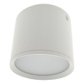 LED-spot 5W/230V, 3000/4000/6400 K, Ø 7,5 cm, wit