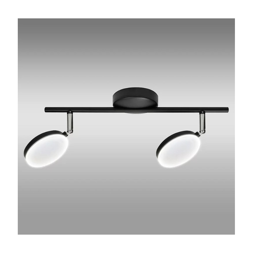LED Spot CAPRI 2xLED/5W/230V