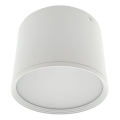 LED-spot LED/10W/230V 3000/4000/6400K Ø 12 cm wit