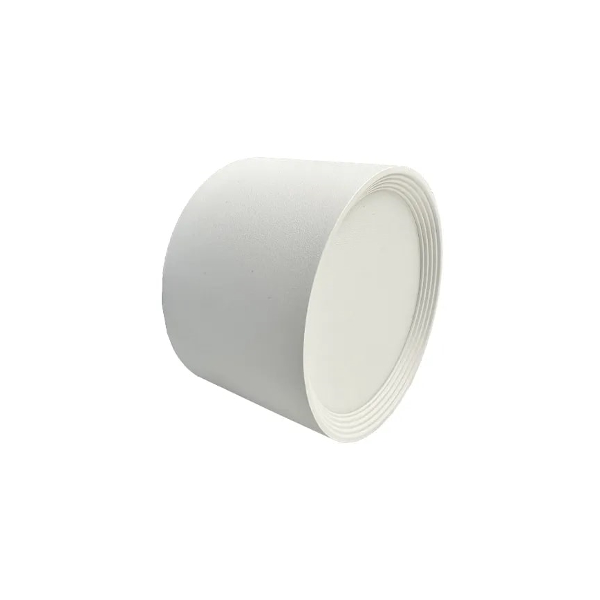 LED spot LED/12W/230V 4000K diameter 10 cm wit