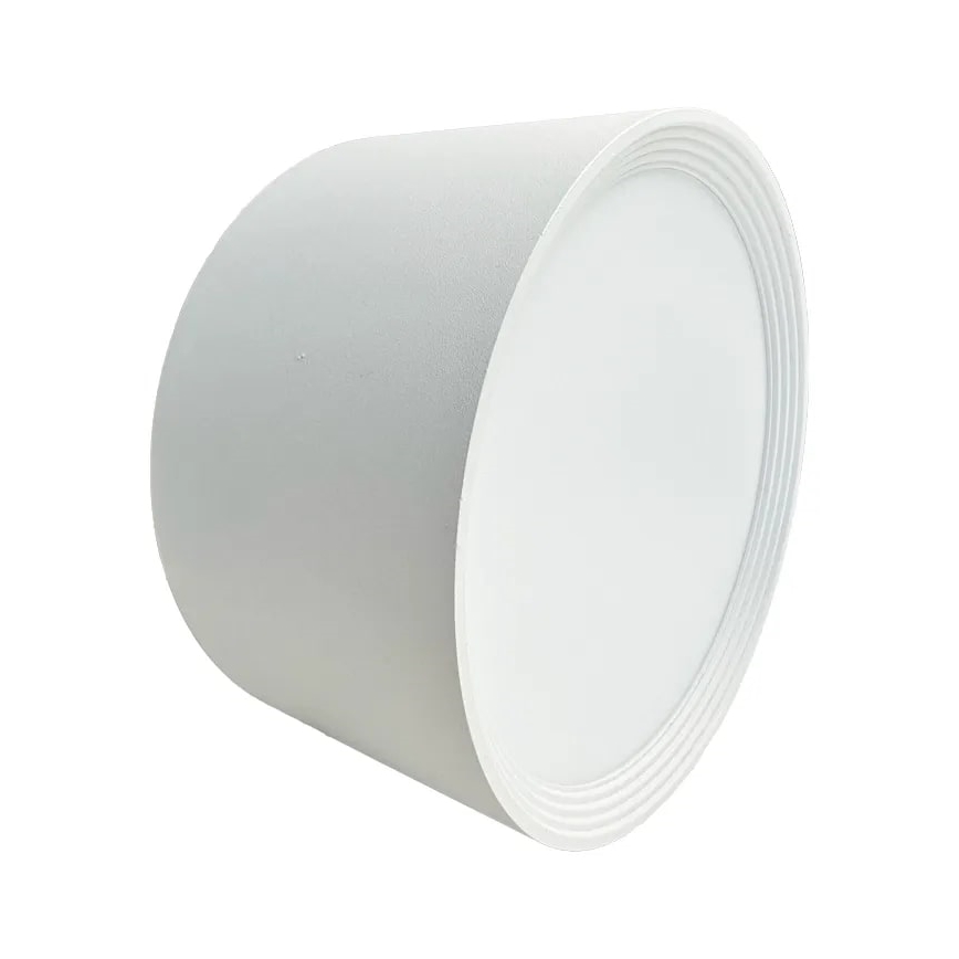 LED spot LED/17W/230V 4000K diameter 15 cm wit