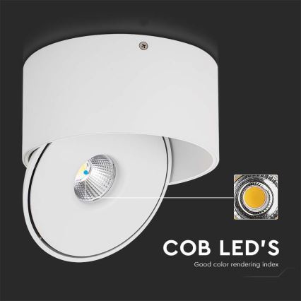 LED Flexibel Spot LED/20W/230V 3000/4000/6400K CRI 90 wit