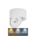 LED spot LED/28W/230V 3000/4000/6400K CRI 90 wit