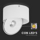 LED Flexibel Spot LED/28W/230V 3000/4000/6400K CRI 90 wit