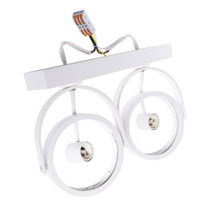 LED spot LUGAR 2xAR111 - GU10/25W/230V