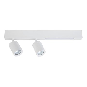 LED spot MAGNET LED/5W/230V + 2xGU10/60W 3000/4000K wit