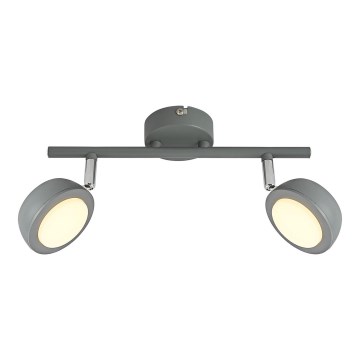 LED spot MILD 2xLED/6W/230V grijs