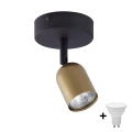 LED-spot TOP 1xGU10/10W/230V goud/zwart