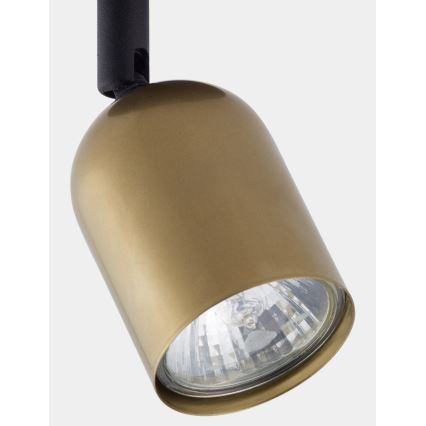 LED-spot TOP 1xGU10/10W/230V goud/zwart