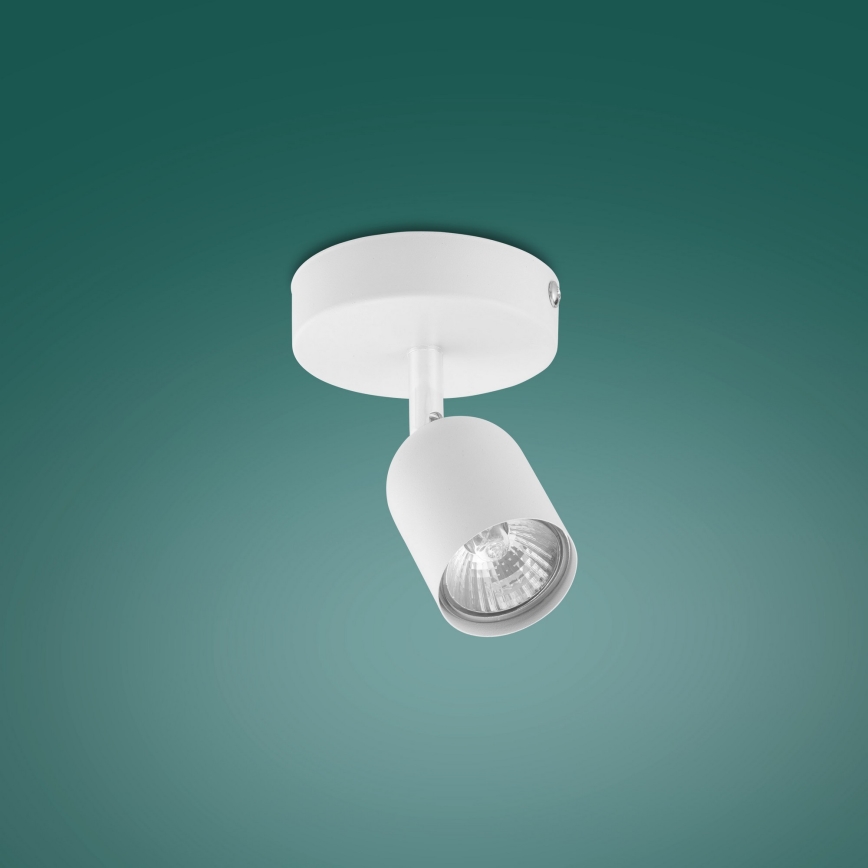 LED-spot TOP 1xGU10/10W/230V wit