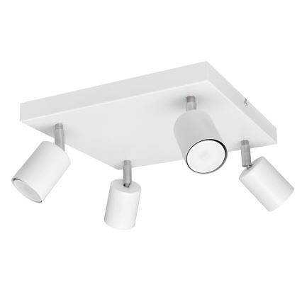 LED spot TUNE 4xGU10/4,8W/230V wit