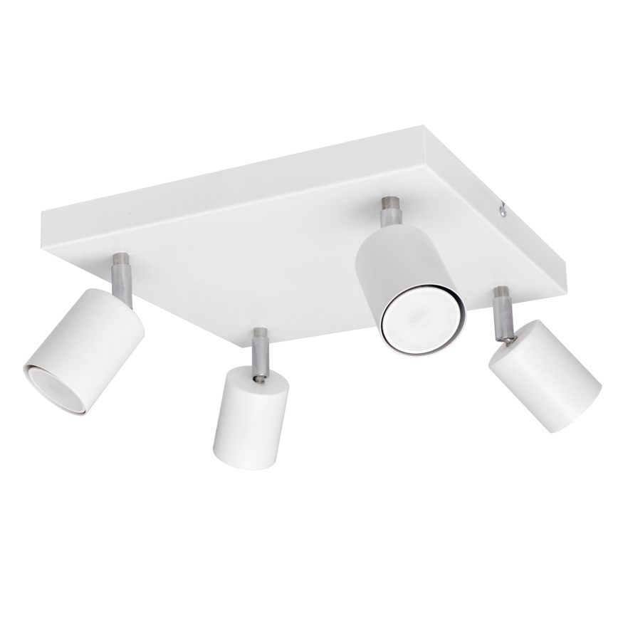 LED spot TUNE 4xGU10/4,8W/230V wit