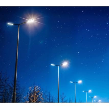 LED straatlamp BRELUXO LED/50W/230V 4000K IP65