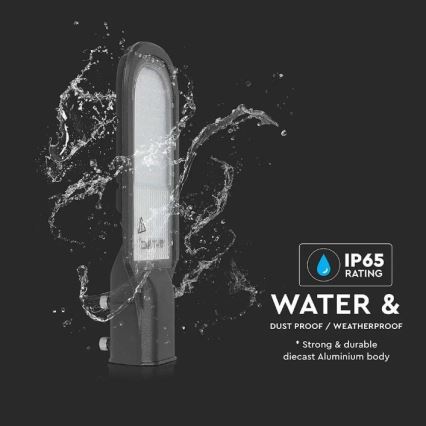 LED Straatlamp SAMSUNG CHIP LED/30W/230V 6400K IP65