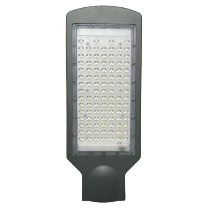 LED Straatlantaarn LED/100W/170-400V IP65