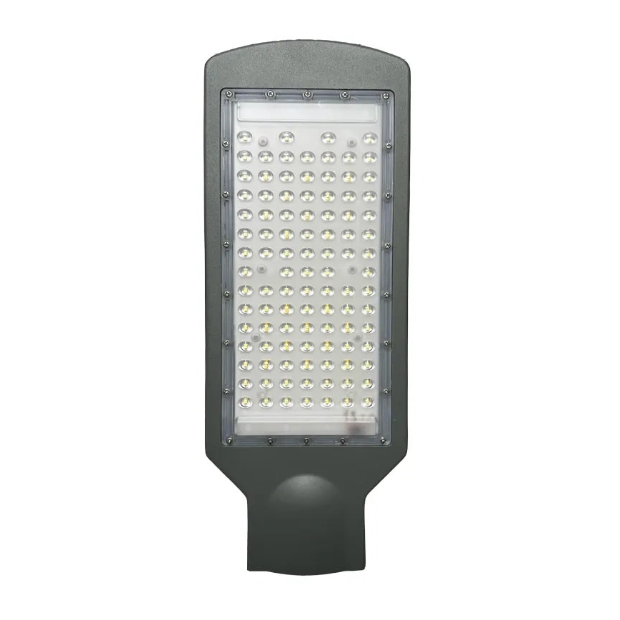 LED Straatlantaarn LED/100W/170-400V IP65