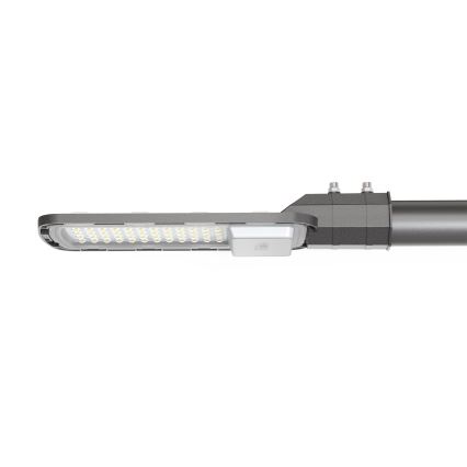 LED Straatlantaarn LED/100W/230V 6500K IP65 grijs