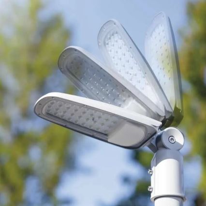 LED Straatlantaarn SOLIS LED/30W/230V 4000K IP65