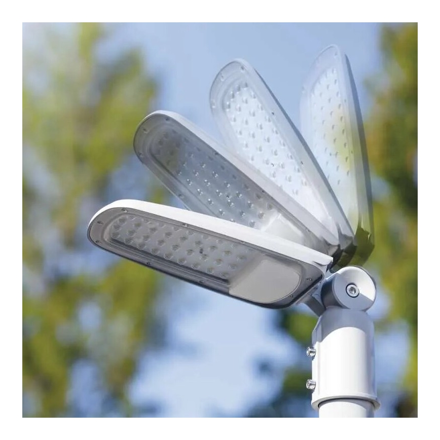 LED Straatlantaarn SOLIS LED/30W/230V 4000K IP65