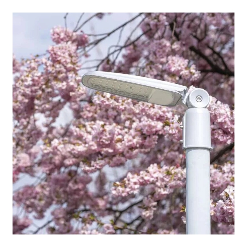 LED Straatlantaarn SOLIS LED/30W/230V 4000K IP65