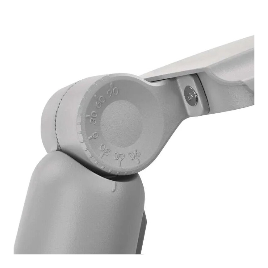 LED Straatlantaarn SOLIS LED/30W/230V 4000K IP65
