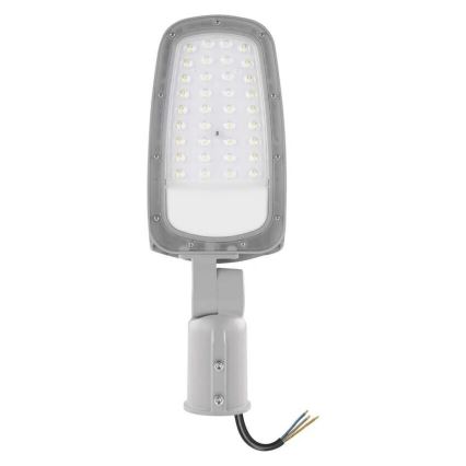 LED Straatlantaarn SOLIS LED/30W/230V 4000K IP65